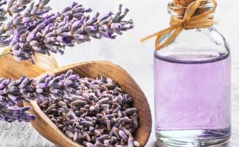 Lavender oil; Herbal remedies for headaches